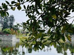 -枫香湖儿童公园