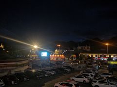-峰瑞藏地美食·石锅鸡·牦牛肉(大昭寺品牌店)