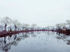 -无锡蠡湖国家湿地公园-蠡园