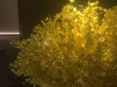 -泰之源足浴会所(玉环店)