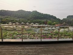-重庆南山海昌汤都