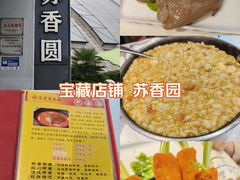 -丁老爷子苏香圆