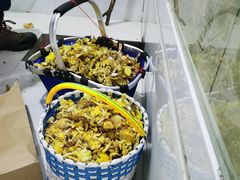 -庆岭迎宾园正宗活鱼馆