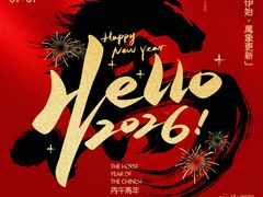 -新疆大盘鸡·十八年老店