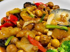 -百年银屏蚝烙·潮汕菜·非遗(乐山店)
