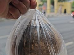 -達揚原味燉品(文明路店)