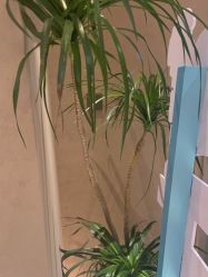 -丽都整形美容医院·全国连锁旗舰店