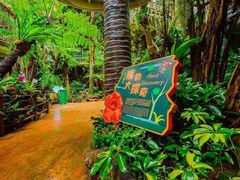 -正佳雨林生态植物园