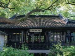 -上海醉白池公园