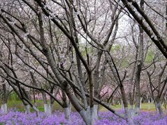 -白塘生态植物园