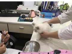 -贝利宠物医院·骨科·眼科·肿瘤转诊中心(南坪诊疗中心)