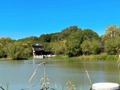 -八大山人梅湖景区