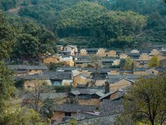 -杨家堂村