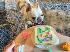 -J Create城市露营咖啡·简餐·宠物(上海动物园店)