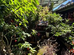 -海韵人家.海景花园经典云南菜(双廊店)