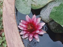 -花开海上生态园
