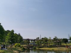 -王借岗森林公园