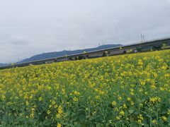 -光明小镇欢乐田园