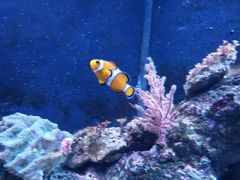 -成都浩海立方海洋公园