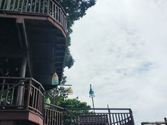 -卷心菜和避孕套餐厅(Pattaya)