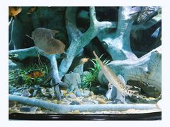 -福州罗源湾海洋世界旅游区