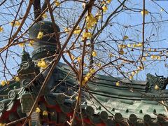 -月坛公园