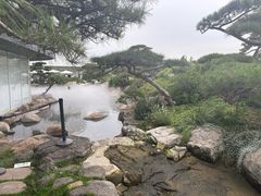 -罗红摄影艺术馆