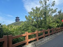 -杭州半山国家森林公园