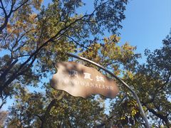 -ZOO COFFEE动物园咖啡(红山森林动物园店)