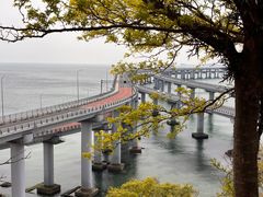 -星海湾跨海大桥
