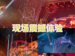 -重庆国际马戏城