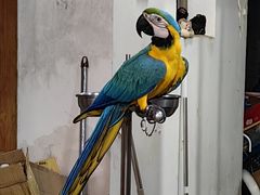 -观桥阁(锦溪店)