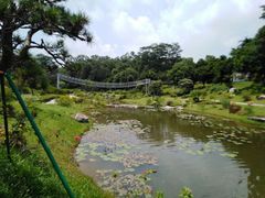 -东莞植物园