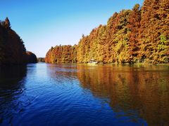 -上海海湾国家森林公园