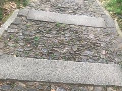 -香雪海