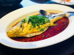 葱油蒸生态大黄鱼-名佳荟