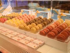 -Pierre Marcolini(德基广场店)