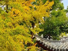 -汇龙潭