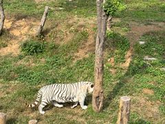 -石家庄市动物园