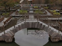 -五缘湾湿地公园