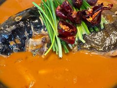 拾久绝味鱼头-拾久(朝阳公园店)