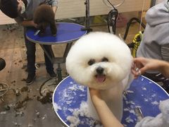 -PETKIT小佩宠物(古北店)