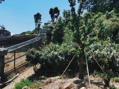 -宁波野生动物园