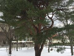 -维乐口腔医院(福清院)