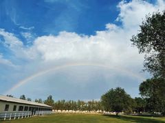 -北京群众马术培训基地