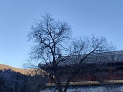 -潭柘寺景区