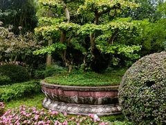 -都江堰景区
