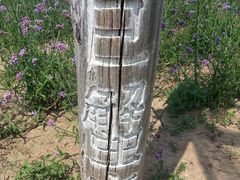 android_upload_pic-紫海香堤香草艺术庄园