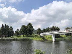 -羊亭河湿地公园