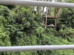 -广州长隆野生动物世界